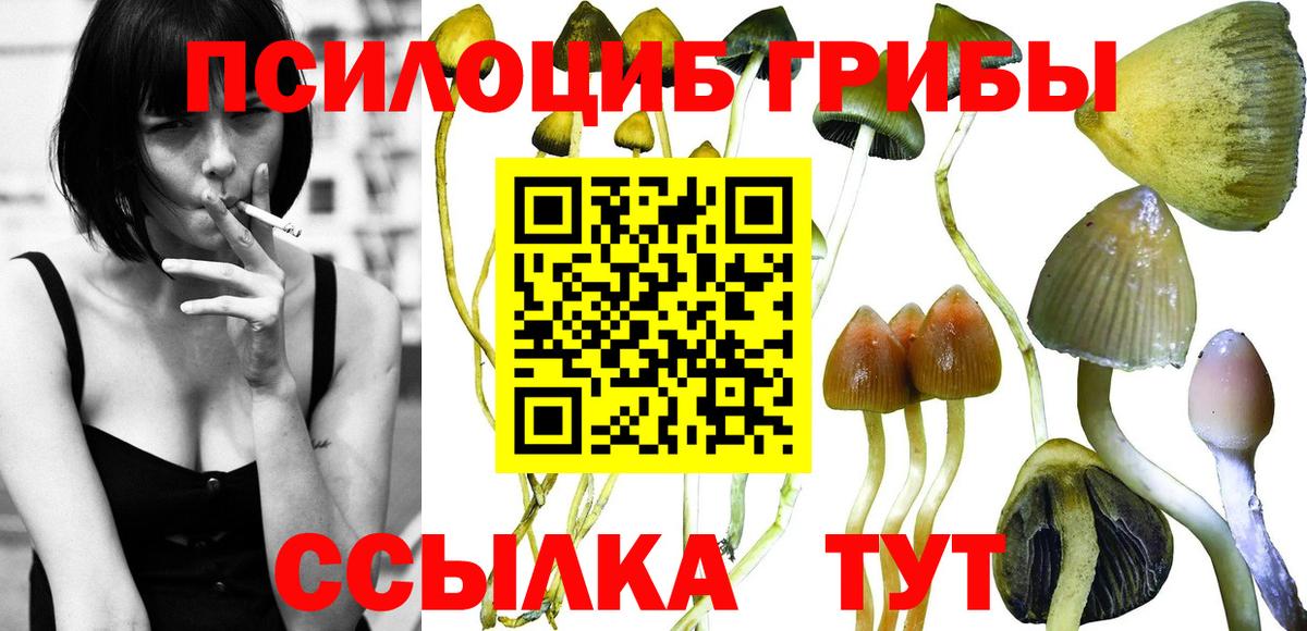 Буйнакск  Псилоцибиновые грибы MAGIC MUSHROOMS  Псилоцибиновые грибы мицелий  Вход с VPN 